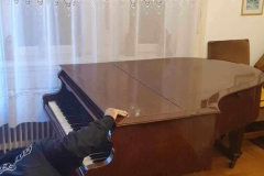 zongora-szallitasa-4